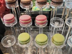 -Social 秀西餐厅-长沙瑞吉酒店(运达店)