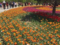 -长春公园(普阳街道)