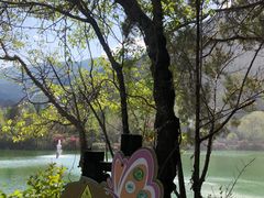 -蝴蝶泉公园