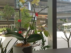-Seesaw Coffee(苏州中心店)