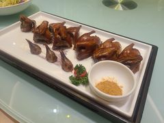 -紫阳富豪大酒店(惠南店)