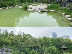 -上海吴淞炮台湾国家湿地公园