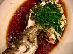 清蒸桂鱼-顺德新世界酒店·华美轩餐厅