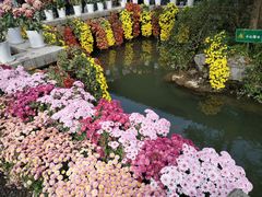 -杭州植物园