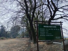 -塔川景区