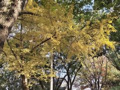 -长广溪湿地公园