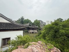 -芥子园
