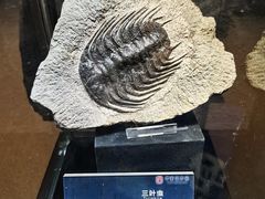 -中华赏石园