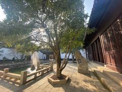 -上海醉白池公园