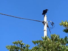 -灌篮高手动画打卡地