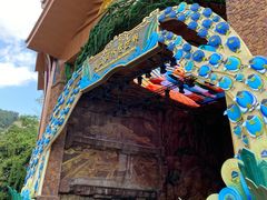 -西双版纳原始森林公园