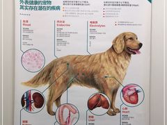 -心语宠物医院·急重症转诊中心·瑞辰华诺(南青路店)