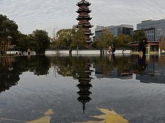 -龙华素斋(龙华路店)