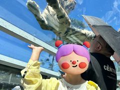 -西霞口神雕山野生动物世界