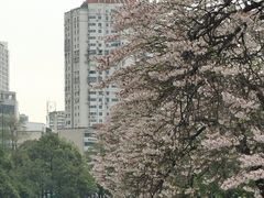 -红星桥(地铁站)