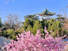 -南山公园