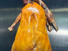 -头牌小厨·福田大排档(石厦店)