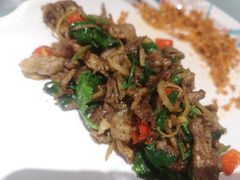 香菜孜然羊肉-57度湘(王府井10F店)