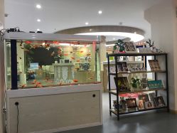 -芳妮豆丁家庭影像馆(宝安店)