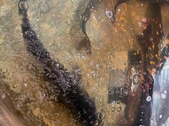 -万里闯关东铁锅炖菜馆(高新旗舰店)