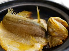 -菉雅苑·湛江菜(前海卓越INTOWN店)