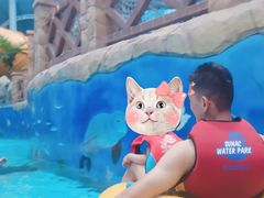 -青岛东方影都融创水世界