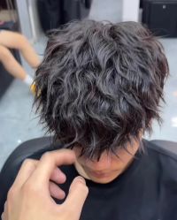 -蚂蚁造型俱乐部