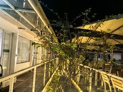 -芭厘农庄老字号·清远鸡