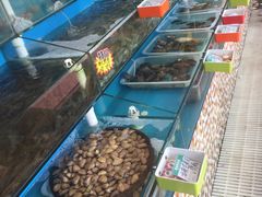 -港畔赶海蒸汽海鲜烧烤自助(仙螺岛店)