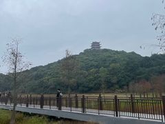 -清溪大王山森林公园