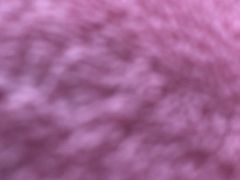 -滆湖低碳生态公园