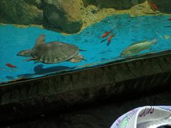-苏州海洋馆