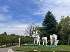-贵州森林野生动物园