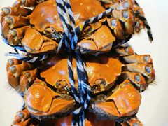 大閘蟹-二十八里太湖船菜(吉祥路店)