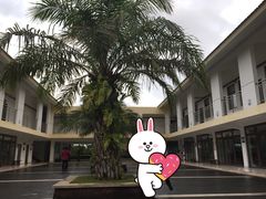 -呀诺达热带雨林