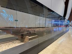 -抱抱地球咖啡馆(国家海洋博物馆店)