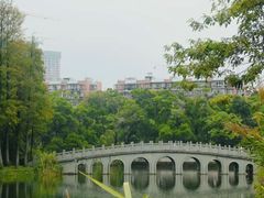 -四海公园(南山区)
