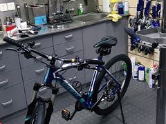 -GIANT捷安特自行车专卖店(金桥台儿庄路店)