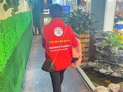 -一煲鸽
