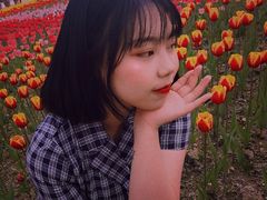 -秀丽东方