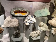 -正佳自然科学博物馆