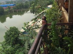 -勐旺傣香园