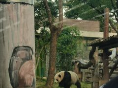 -武汉动物园
