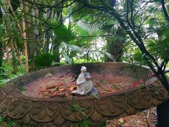 -广州兰圃