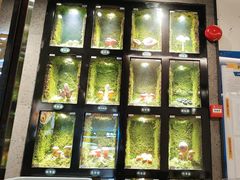 -野·大山里野生菌石锅土鸡(益田假日店)