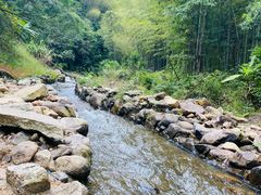 -千泷沟大瀑布旅游区