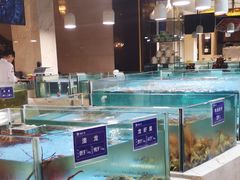 水产区-旺顺阁海鲜广场(亚运村店)