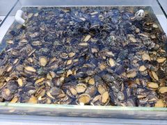 -集品鲜湾·蒸汽海鲜自助料理(青岛银座和谐广场店)