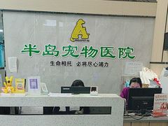 -半岛宠物医院24小时(科华中路店)