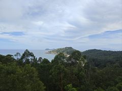 -广东惠东海龟国家级自然保护区